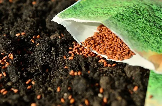 Permaculture, comment acquérir des semences Part1