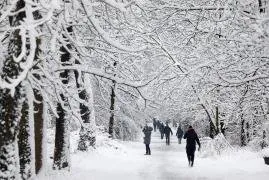 Frost in Paris