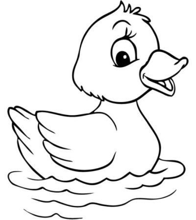 Sketsa animal