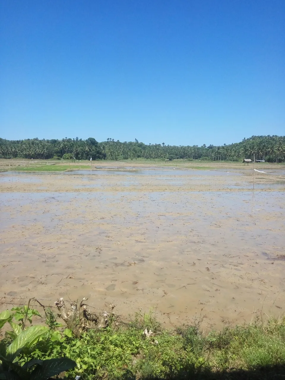 Photography In My Village
