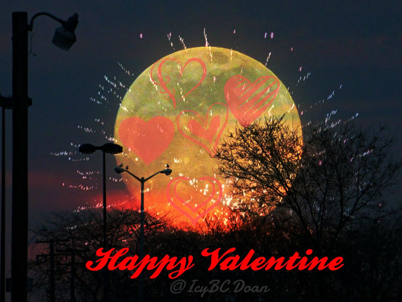 KillerPix Contest - I Heart Nature