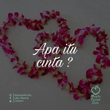 Cinta