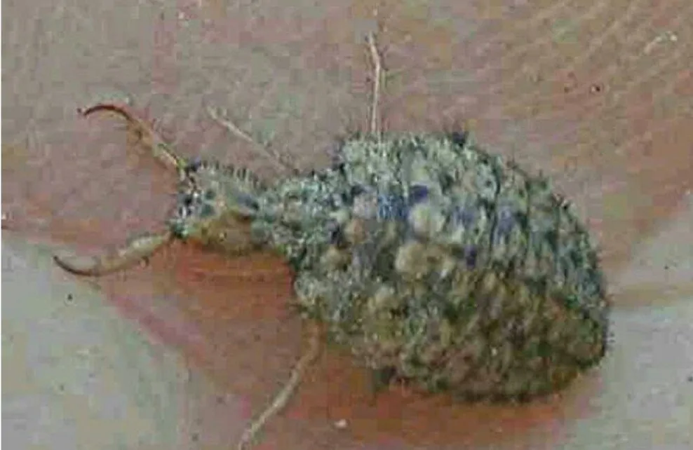 Kesehatan