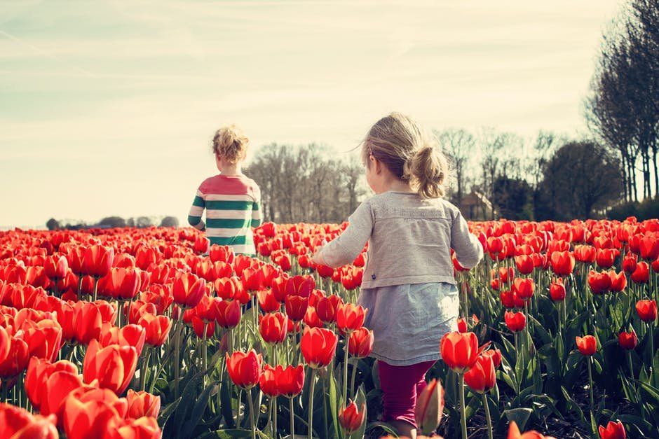 SPRING LOVE DAY