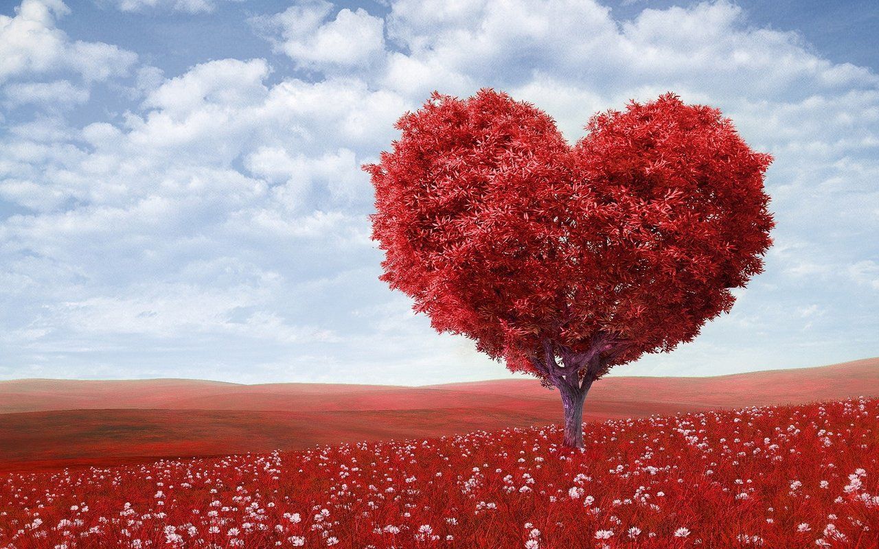 LOVE THE ESSENCE OF VALENTINE 