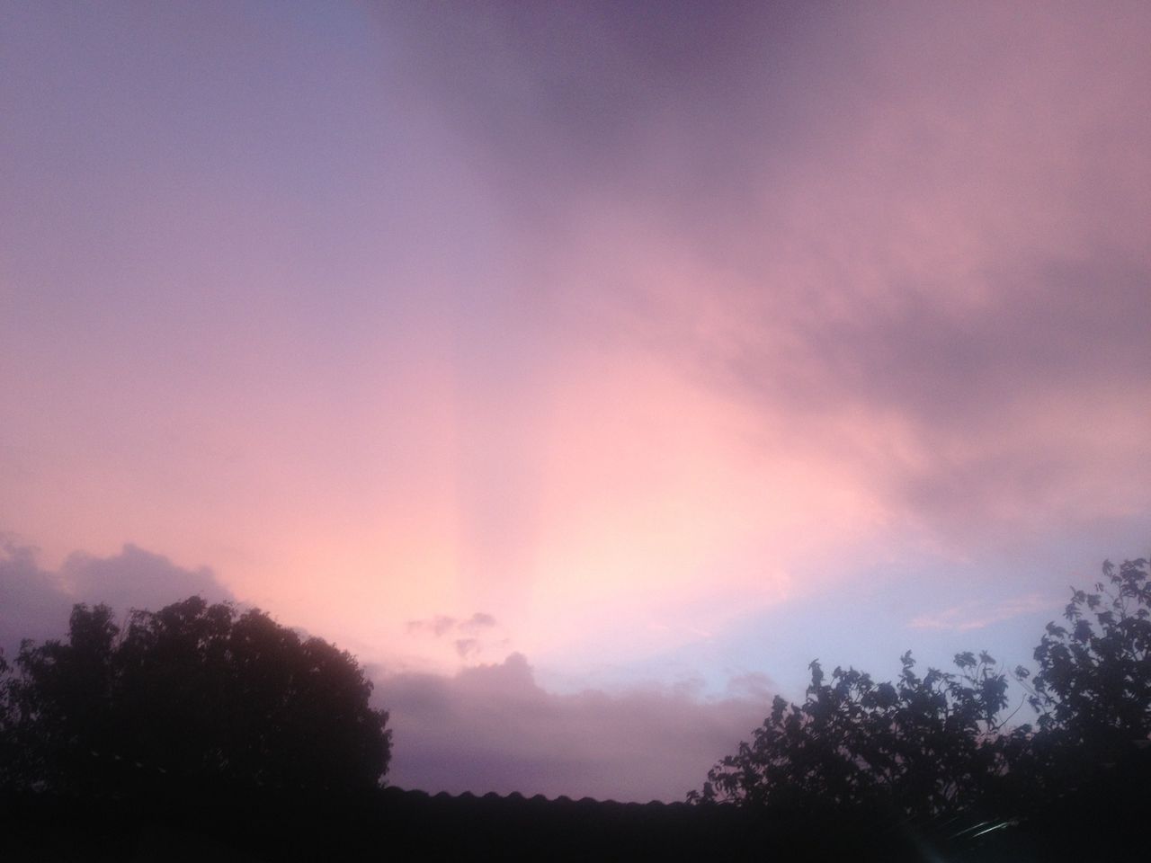 atardecer de la pantera sosa
