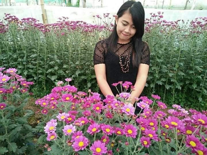 Beautiful Flowers