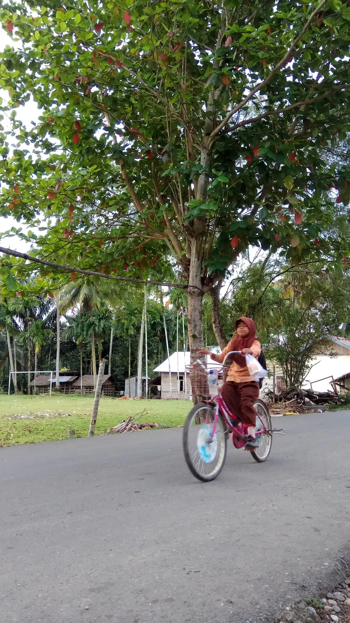 Kampung atau ke Kota