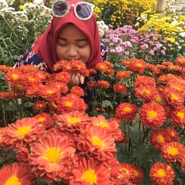 Flowers Sun