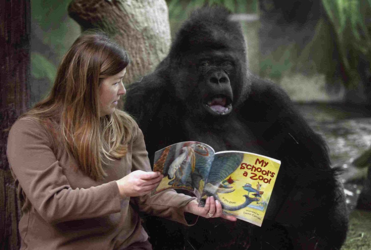 Educated to read