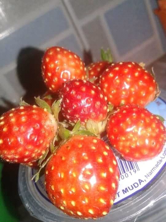 stroberry