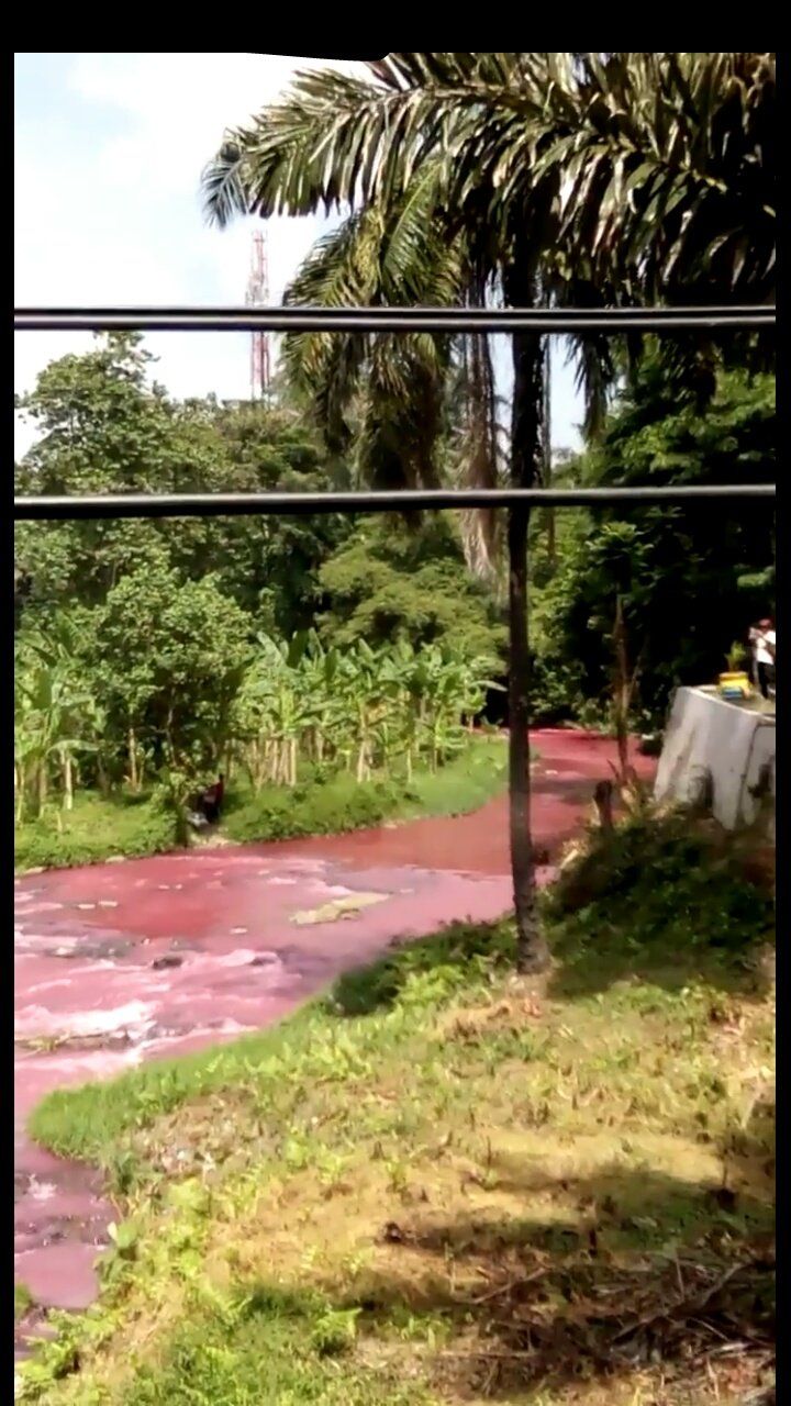 the phenomenon of Indonesian blood river