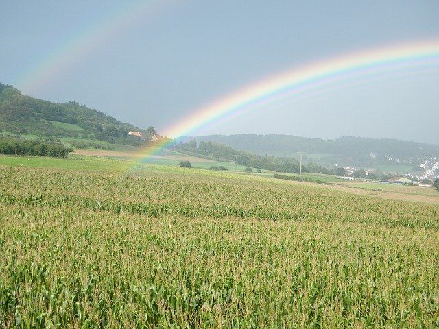 There Will Be Rainbow After Rain