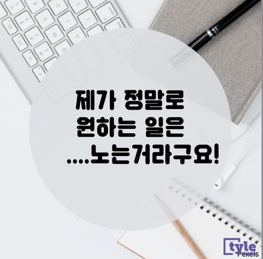 제가 정말 원하는 일은....노는 거라구요!