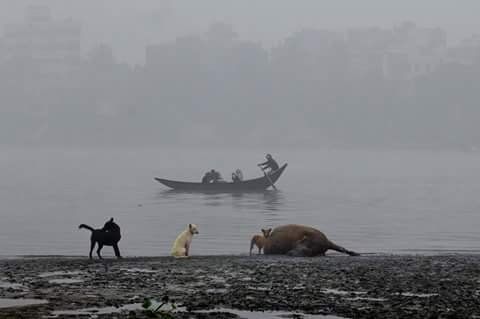 A Winter Morning Click