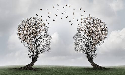 WHAT YOU SEE IS NOT ALWAYS WHAT YOU GET