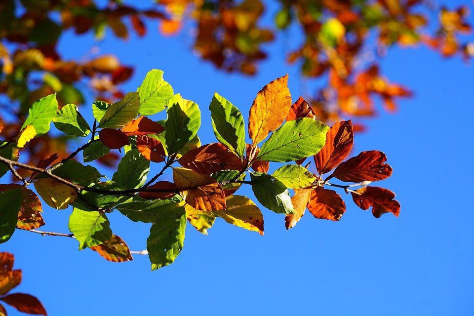 los hermosos colores del verano