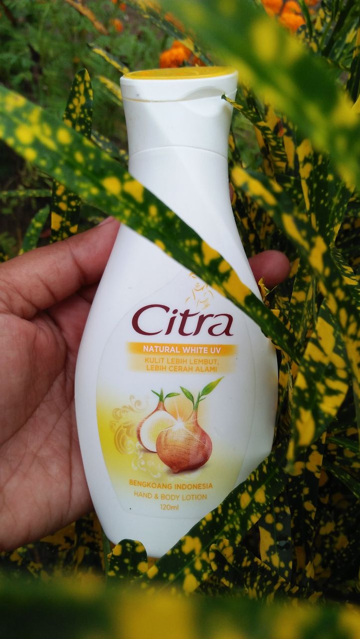 Citra Bengkoang White UV