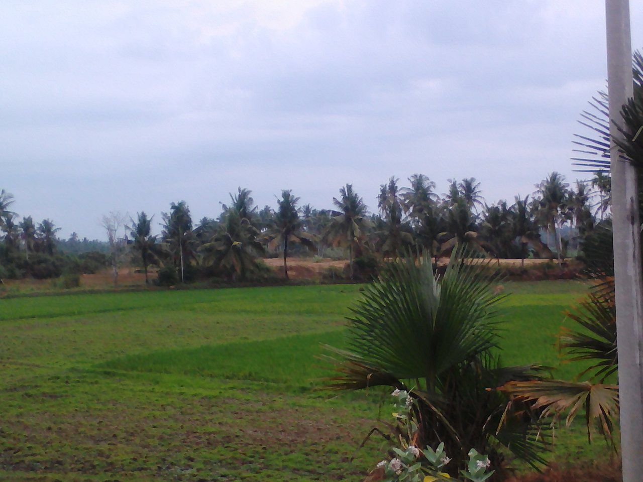 Environment