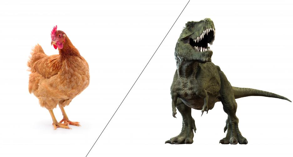 16 curious and absurd facts that turn out to be true