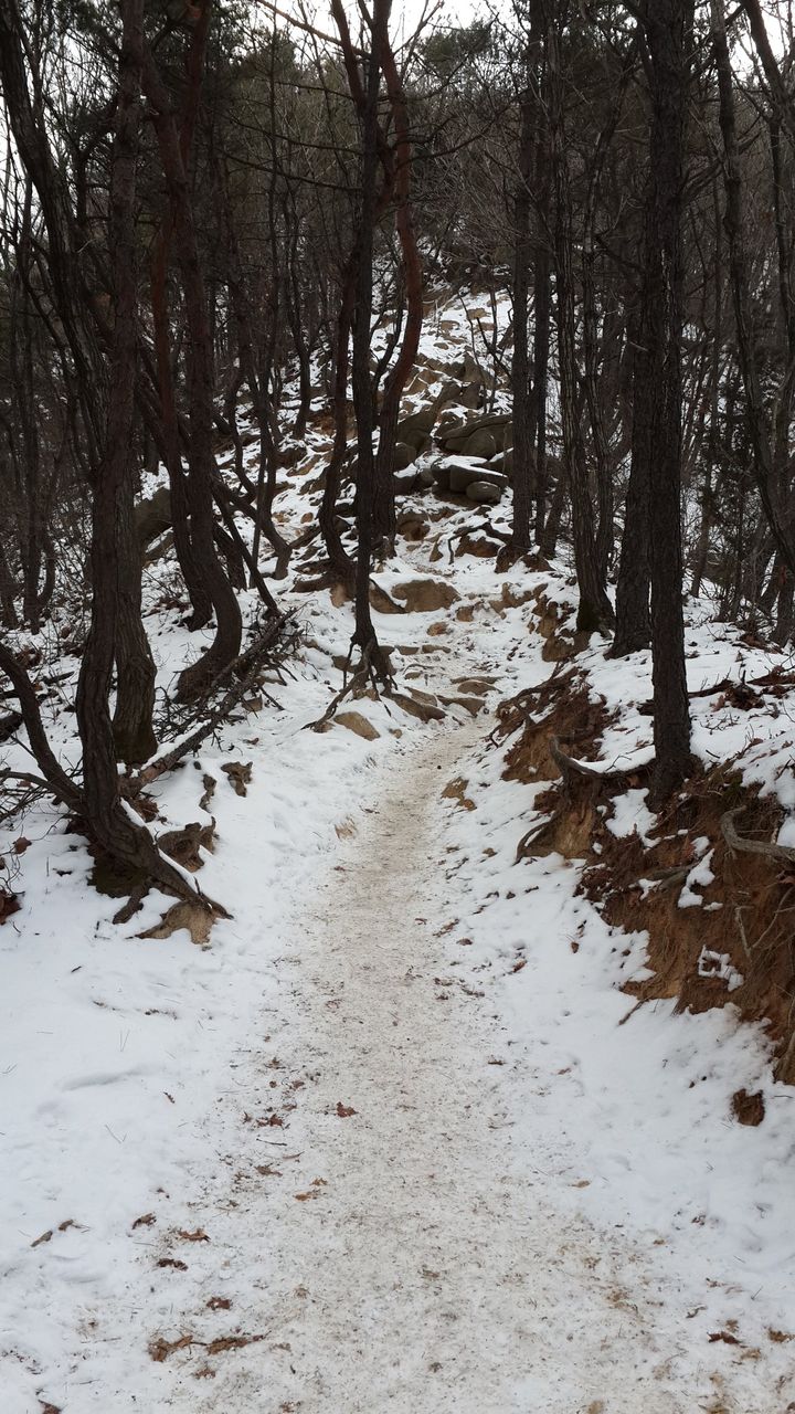Snow road.
