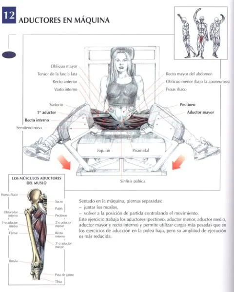 Aducteres en maquina