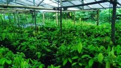Agriculture Photography