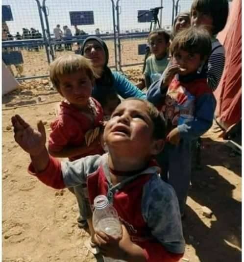 Do you know what they are looking? 