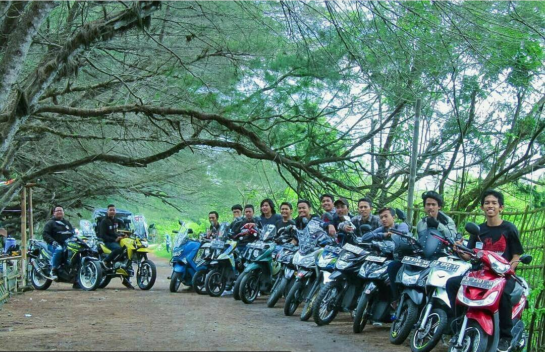My comunity