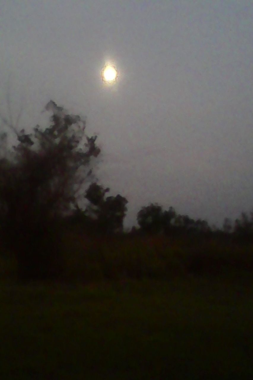"LUNA"
