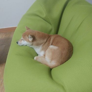 Sweet dream.