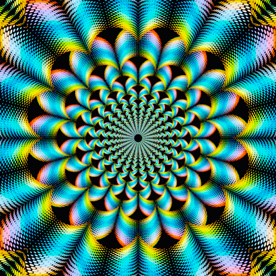 hx_5c516