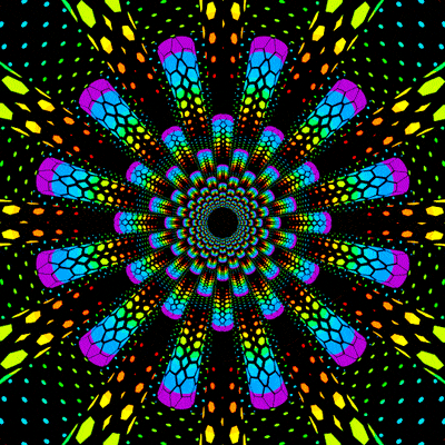 hx_5c519
