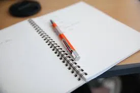 국어사전을 활용한 글쓰기는?