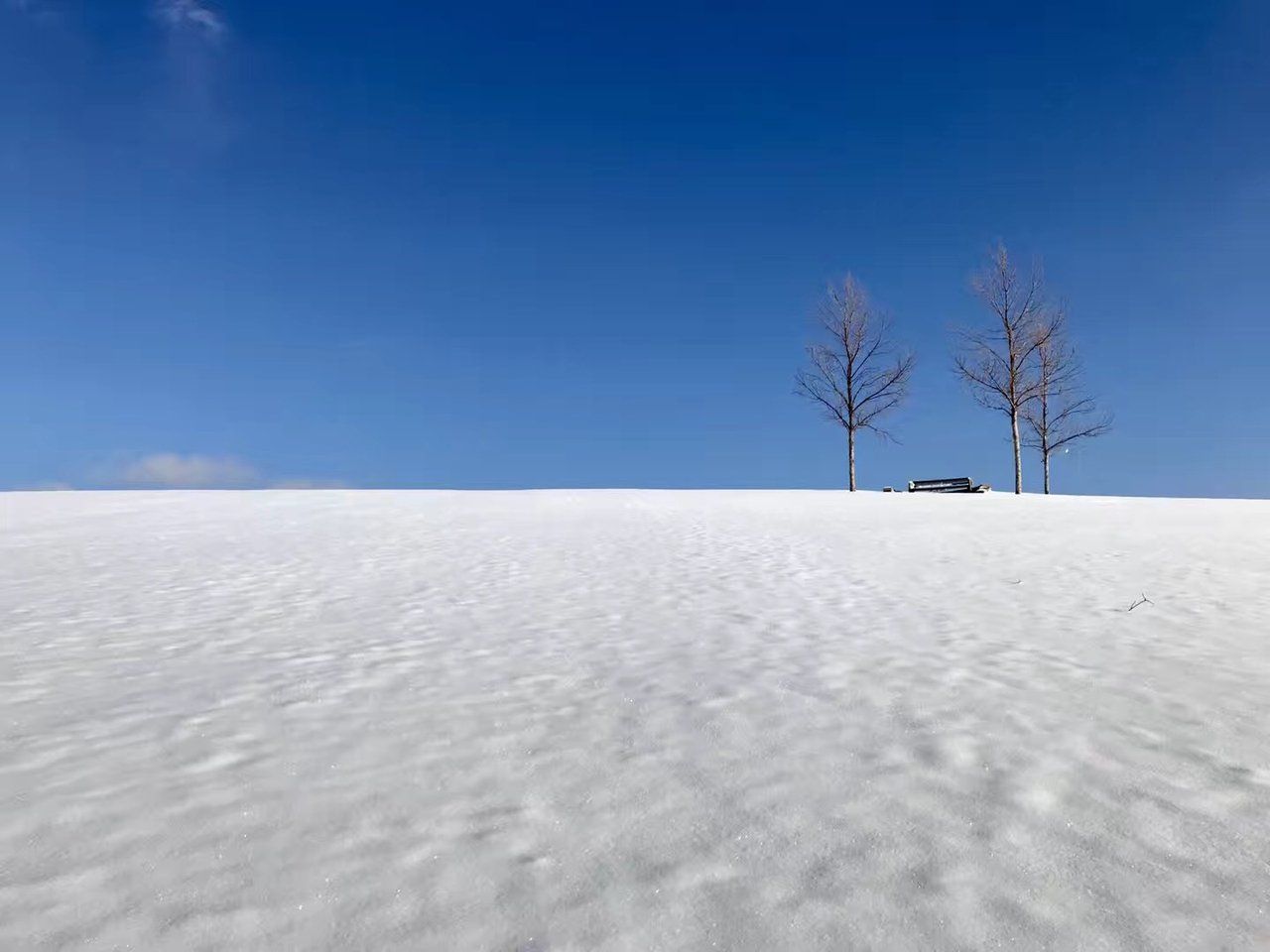 雪的不同种类 / Different Kind of Snow