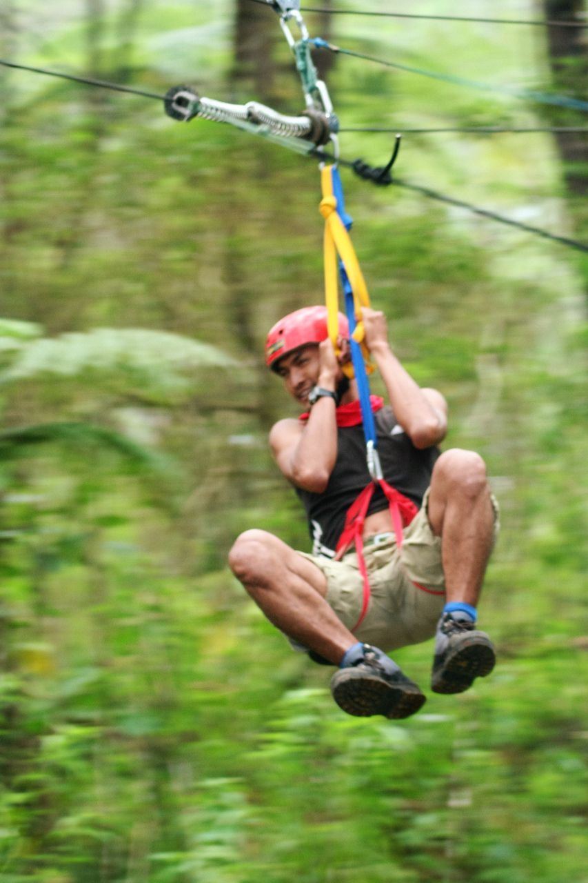 Flying Fox