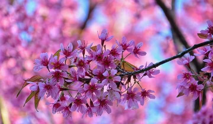 Evaluate the future