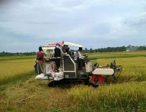 Mesin dan Para petani padi