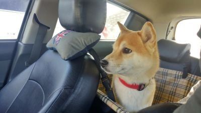 Where am I going?