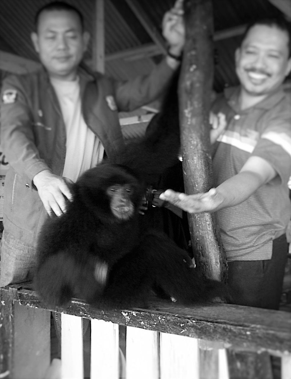 #animalphotography_Gibbon 