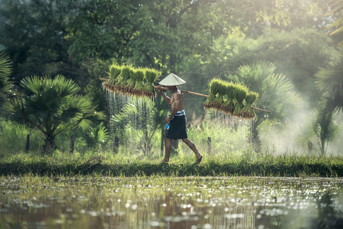 Special job :: Around the world
