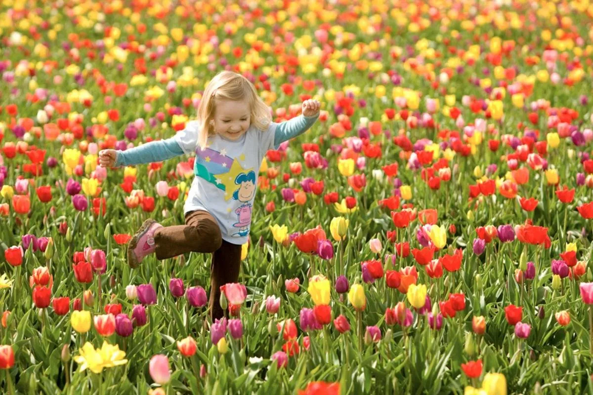 Contest#21-SPRING Contest- Let's Check Your BeautFull Experience