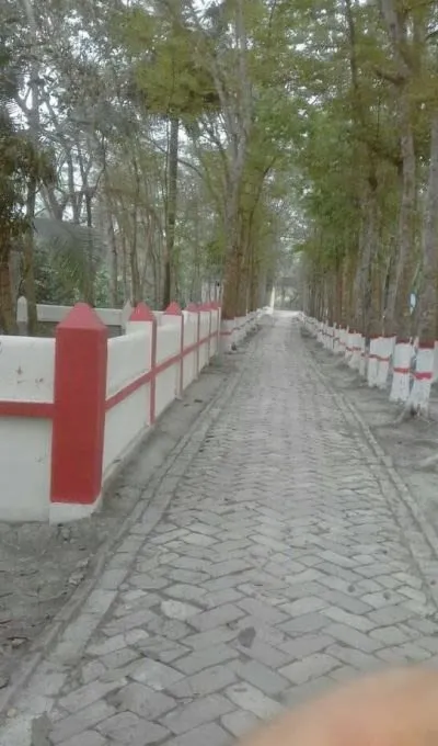 a village road