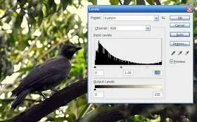 photography tutorial