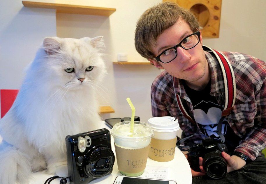 The world's high sixteen cat Cafes