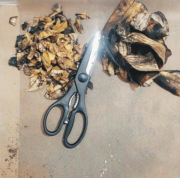 Kulit pisang