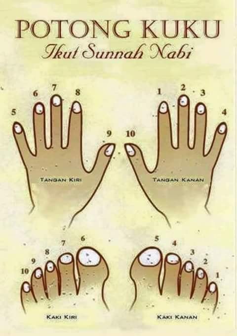 Cara Memotong Kuku Supaya dapat Pahala