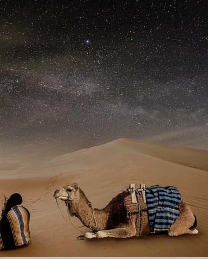 The Arabian Gulf 