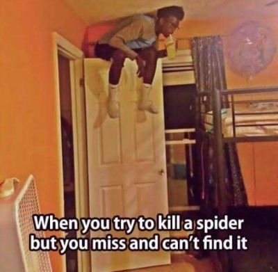 Kill spider 