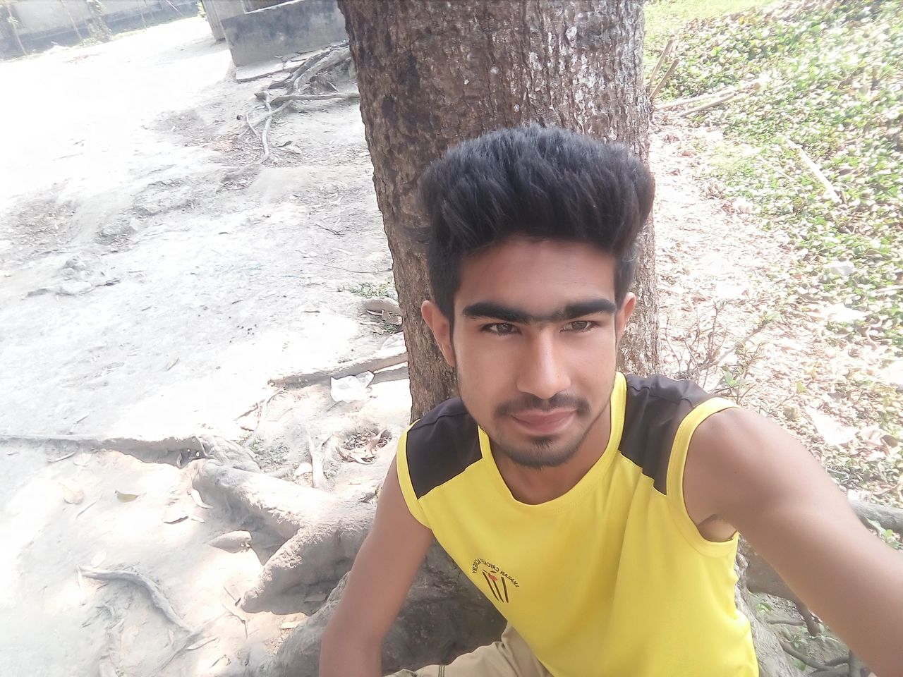 sokal 